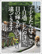 子どもたちはここで１日過ごしただけで、目の輝きが違ってきます。