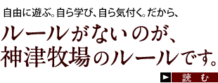 自由に遊び、自由に学ぶ。だから、ルールがないのが神津牧場のルールです。