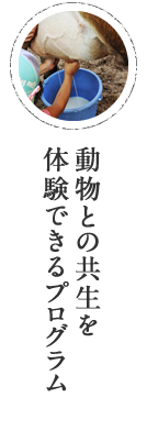 動物との共生を体験できるプログラム