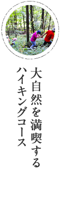 大自然を満喫する、ハイキングコース