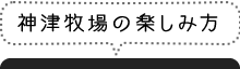 神津牧場の楽しみ方