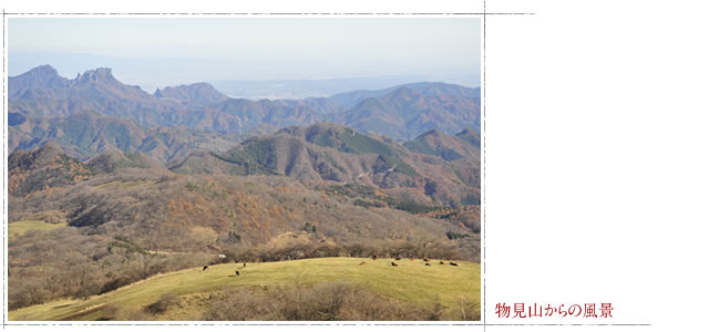 物見山からの風景