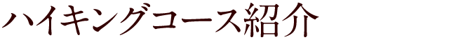 ハイキングコース紹介