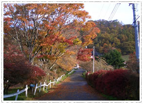 牧場の紅葉